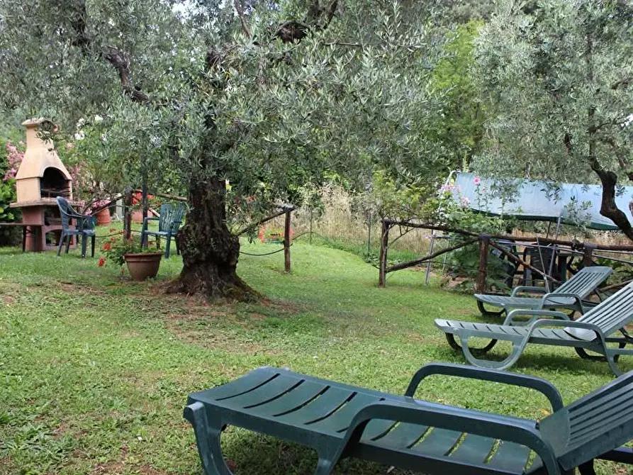 Immagine 7 di Casa colonica in vendita  a Lamporecchio