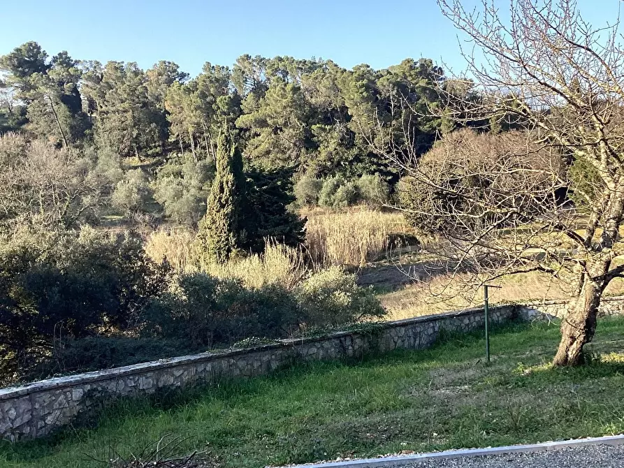 Immagine 4 di Porzione di casa in vendita  a Casciana Terme Lari