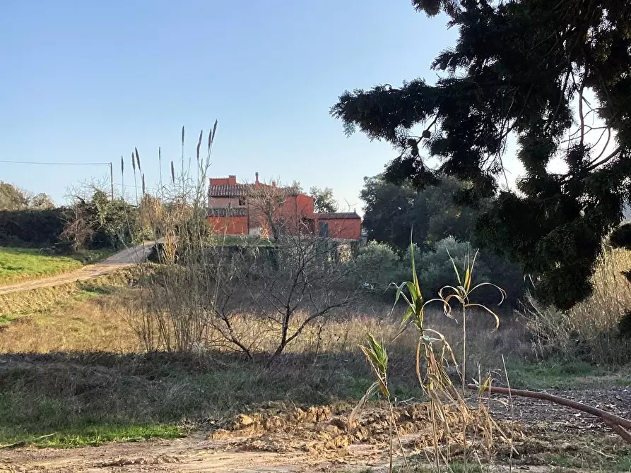 Immagine 2 di Porzione di casa in vendita  a Casciana Terme Lari