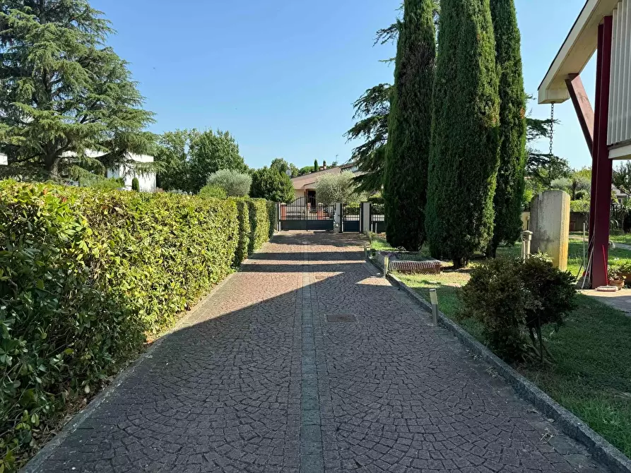 Immagine 15 di Villa in vendita  a Pontedera