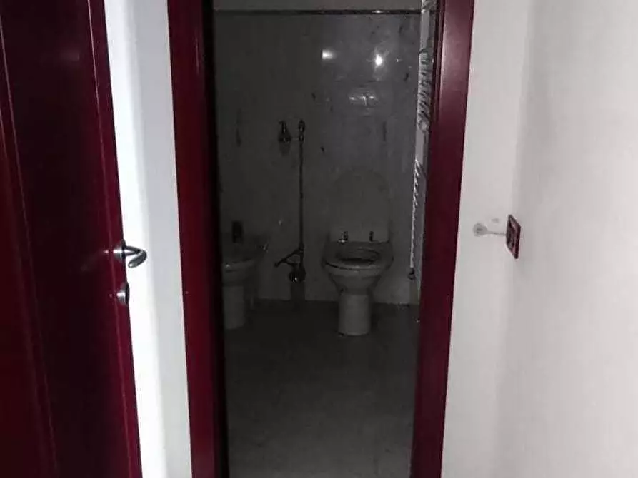 Immagine 10 di Ufficio in affitto  a Massa