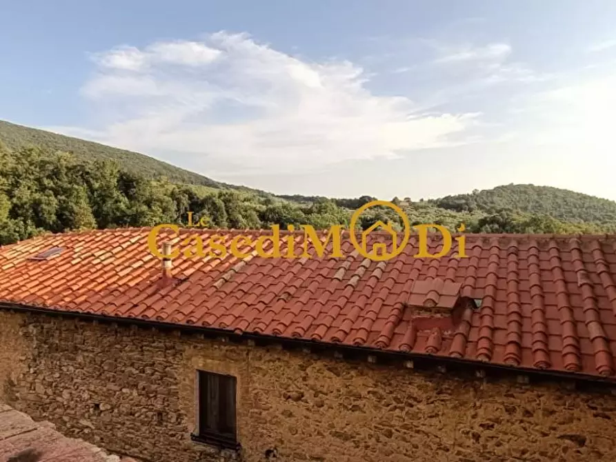 Immagine 1 di Porzione di casa in vendita  a Santa Luce