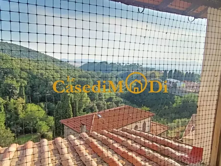 Immagine 29 di Porzione di casa in vendita  a Santa Luce