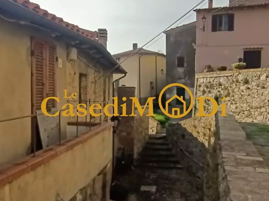 Immagine 35 di Porzione di casa in vendita  a Santa Luce