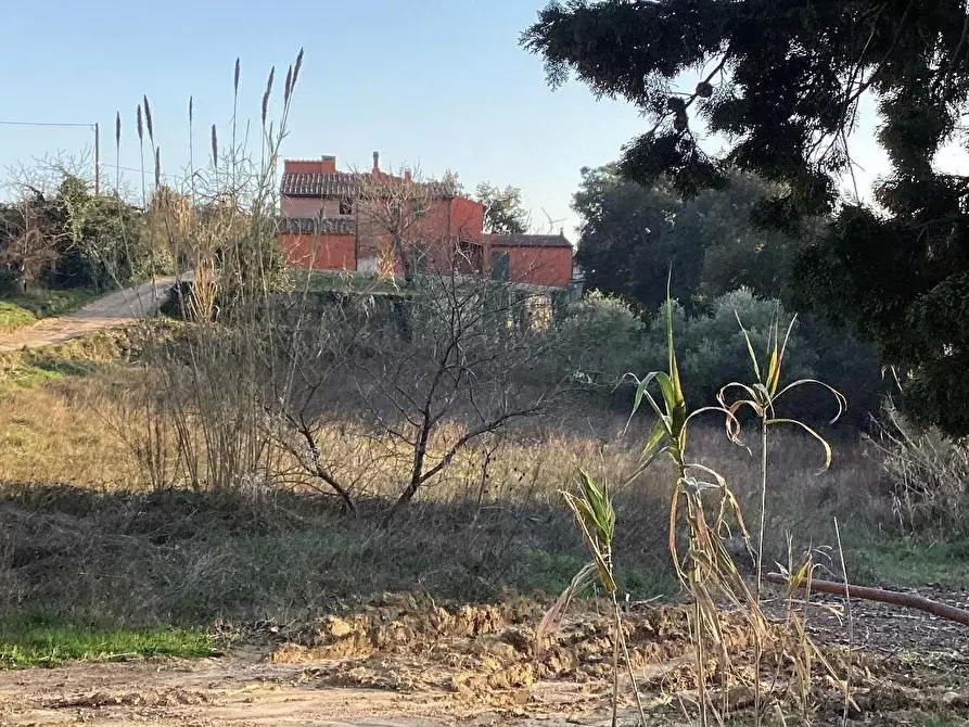 Immagine 1 di Casa colonica in vendita  a Casciana Terme Lari