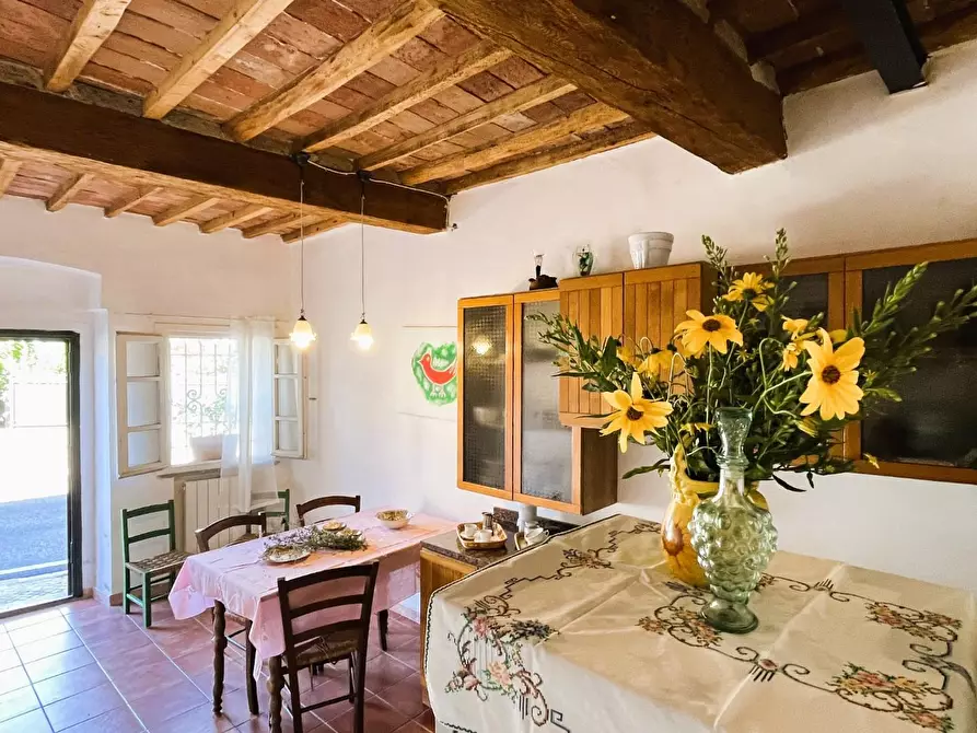 Immagine 21 di Terratetto in vendita  a Rosignano Marittimo