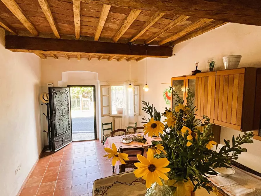 Immagine 20 di Terratetto in vendita  a Rosignano Marittimo