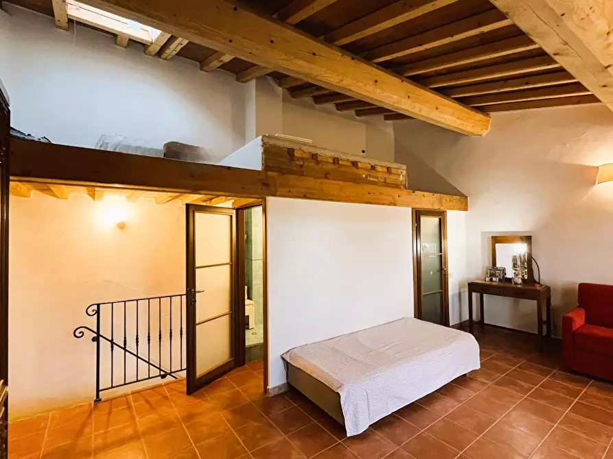 Immagine 13 di Terratetto in vendita  a Rosignano Marittimo