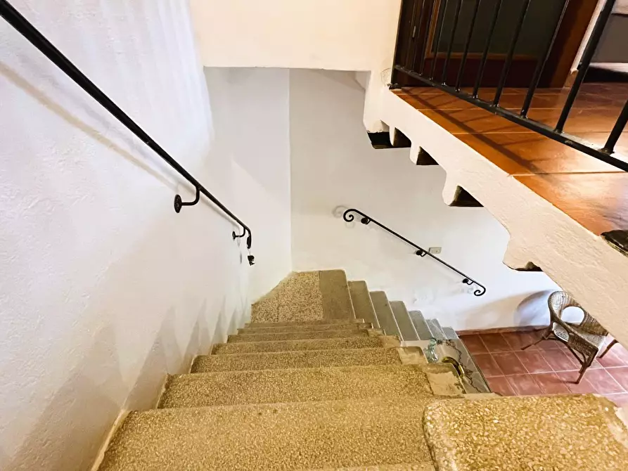 Immagine 14 di Terratetto in vendita  a Rosignano Marittimo