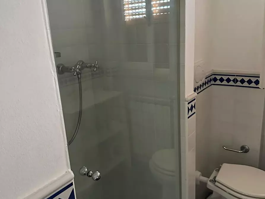 Immagine 8 di Mansarda in vendita  a Camaiore