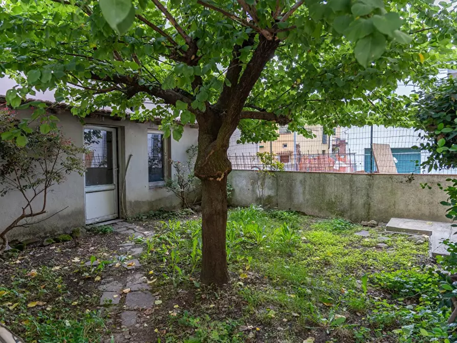 Immagine 13 di Terratetto in vendita  a Capraia E Limite