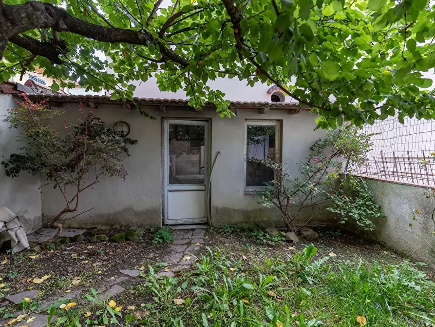 Immagine 14 di Terratetto in vendita  a Capraia E Limite