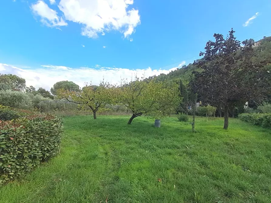 Immagine 20 di Terratetto in vendita  a Buti