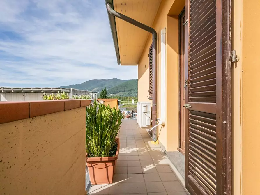 Immagine 11 di Villetta a schiera in vendita  a Bientina