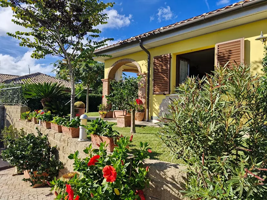 Immagine 1 di Casa indipendente in vendita  a Piombino