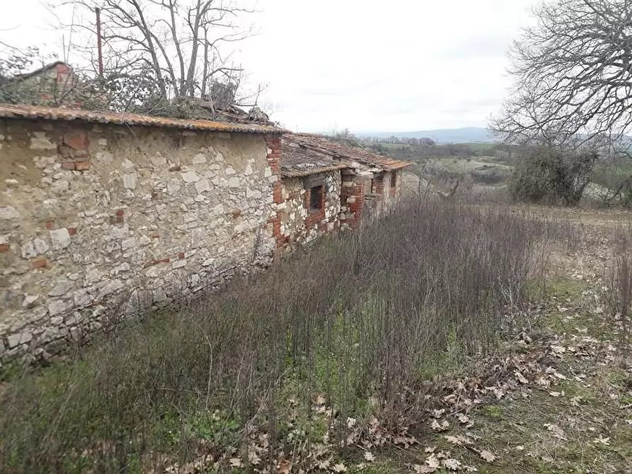 Immagine 8 di Terreno agricolo in vendita  a Asciano