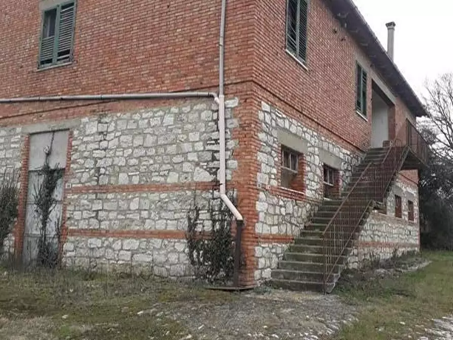 Immagine 12 di Terreno agricolo in vendita  a Asciano