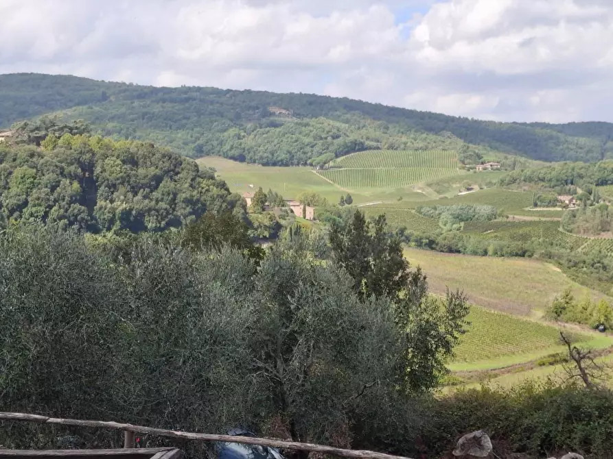 Immagine 4 di Terreno agricolo in vendita  a Castelnuovo Berardenga