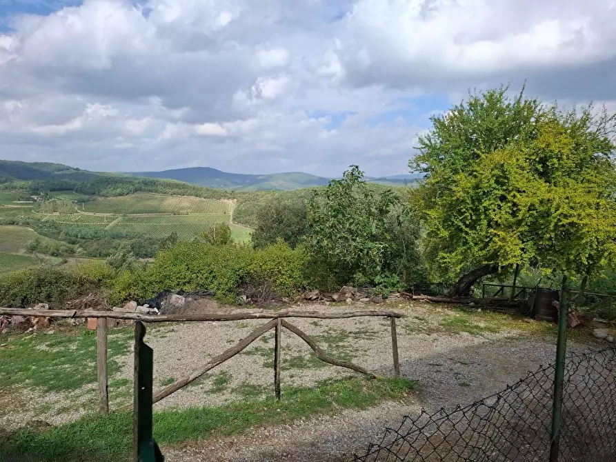 Immagine 3 di Terreno agricolo in vendita  a Castelnuovo Berardenga