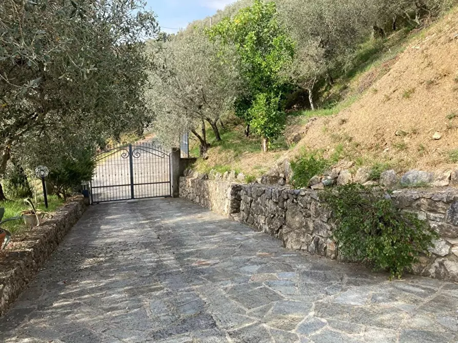 Immagine 9 di Villa in vendita  a Castelnuovo Magra