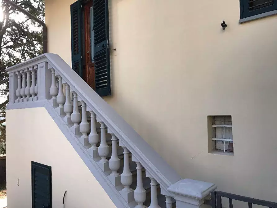 Immagine 22 di Terratetto in vendita  a Empoli