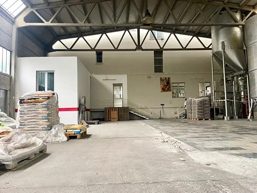 Immagine 15 di Attività artigianale in vendita  a Massa