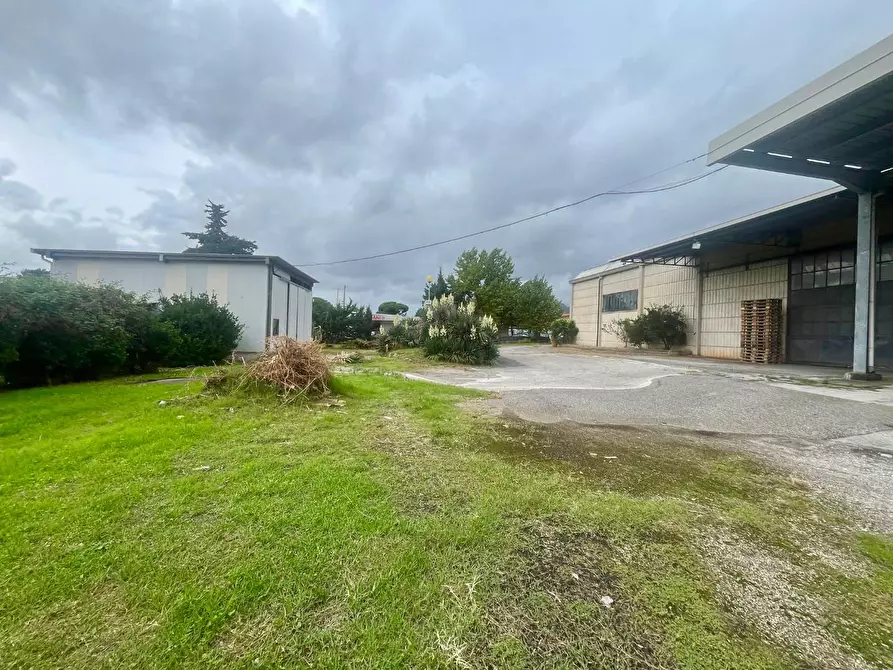 Immagine 7 di Attività artigianale in vendita  a Massa