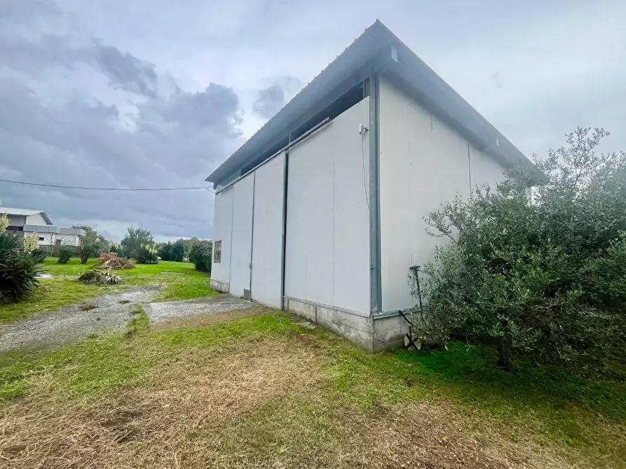 Immagine 9 di Attività artigianale in vendita  a Massa