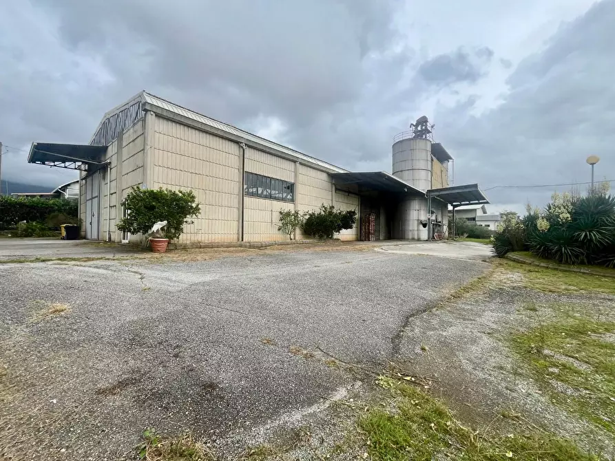 Immagine 2 di Attività artigianale in vendita  a Massa