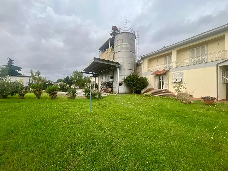 Immagine 5 di Attività artigianale in vendita  a Massa