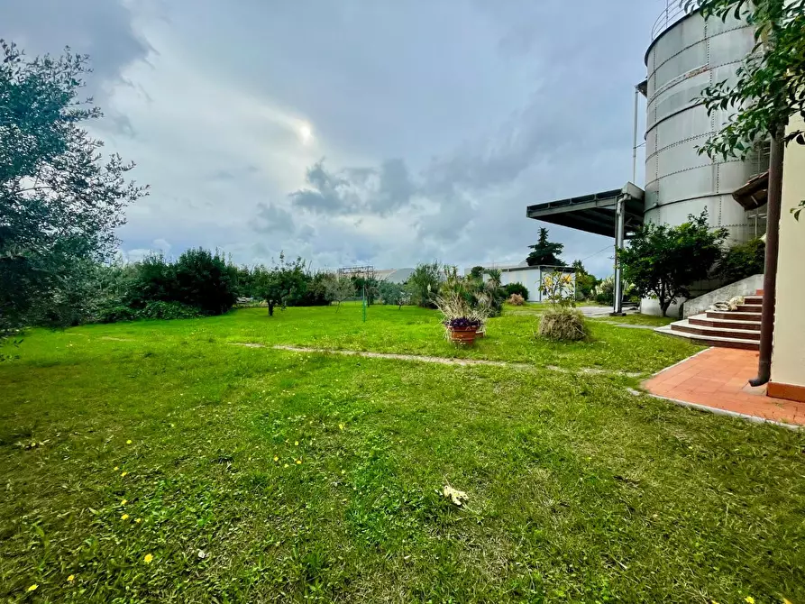 Immagine 4 di Attività artigianale in vendita  a Massa