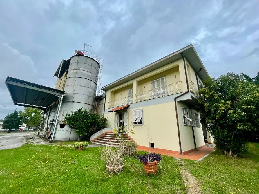 Immagine 8 di Attività artigianale in vendita  a Massa