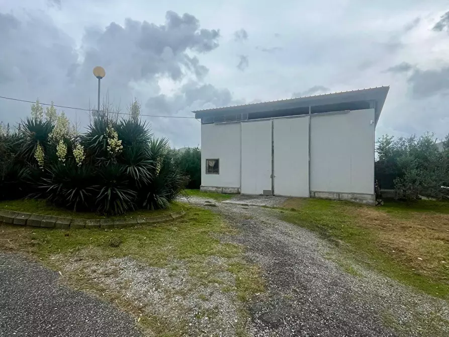 Immagine 10 di Attività artigianale in vendita  a Massa