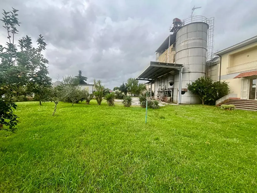 Immagine 6 di Attività artigianale in vendita  a Massa