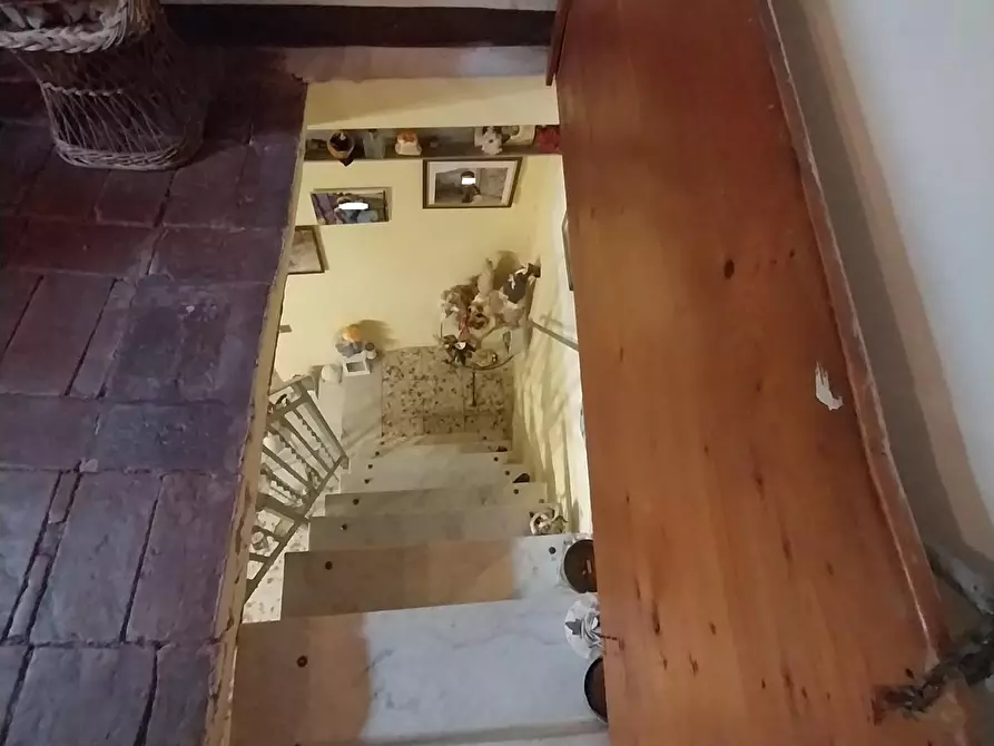 Immagine 20 di Terratetto in vendita  a Calci