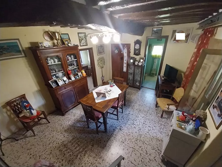 Immagine 3 di Terratetto in vendita  a Calci