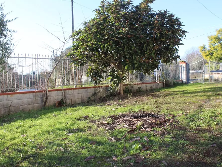 Immagine 14 di Villa in vendita  a Santa Maria A Monte