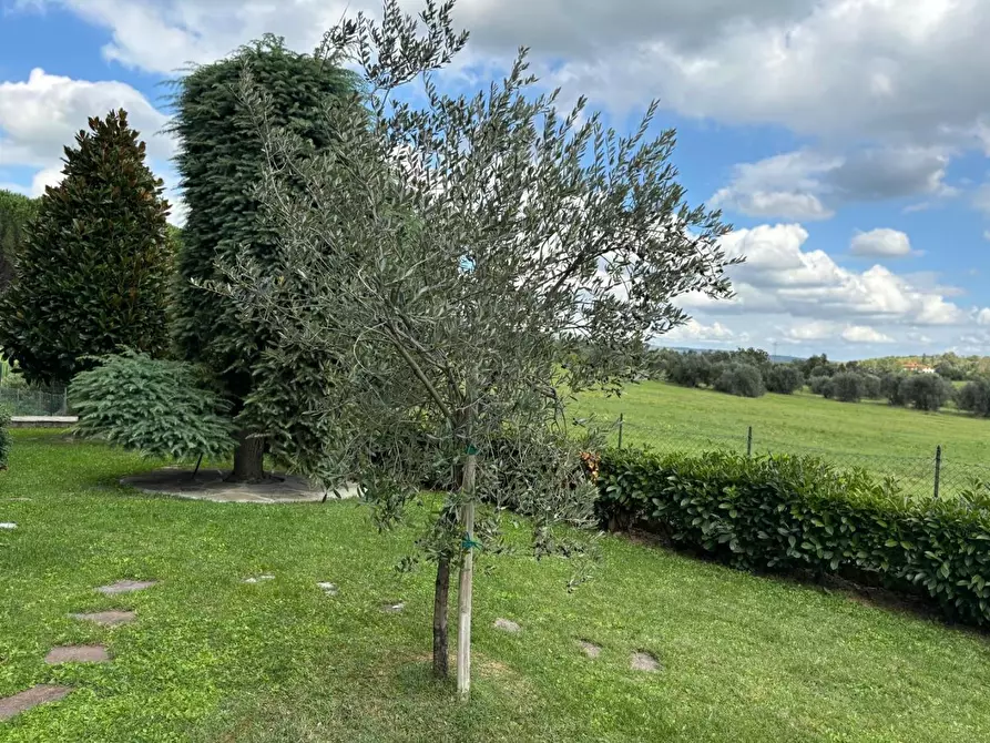 Immagine 33 di Appartamento in vendita  a Vinci