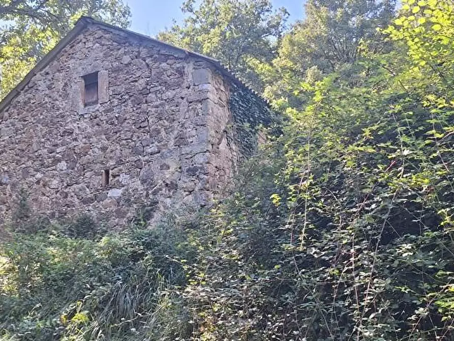 Immagine 1 di Rustico / casale in vendita  a Bagni Di Lucca