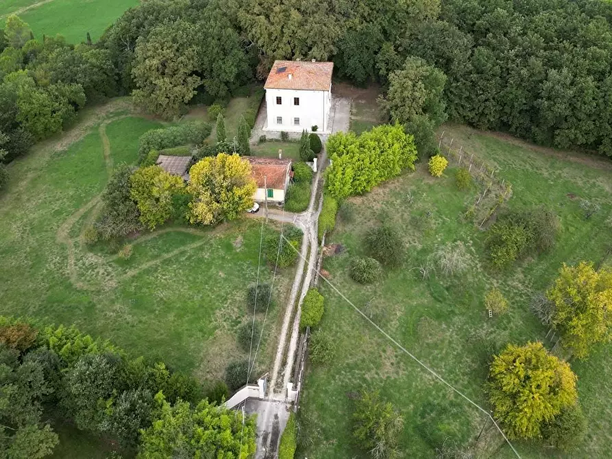 Immagine 37 di Villa in vendita  a Pisa