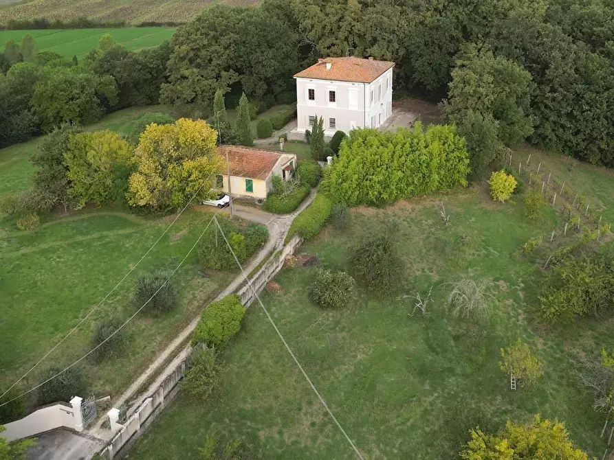 Immagine 38 di Villa in vendita  a Pisa