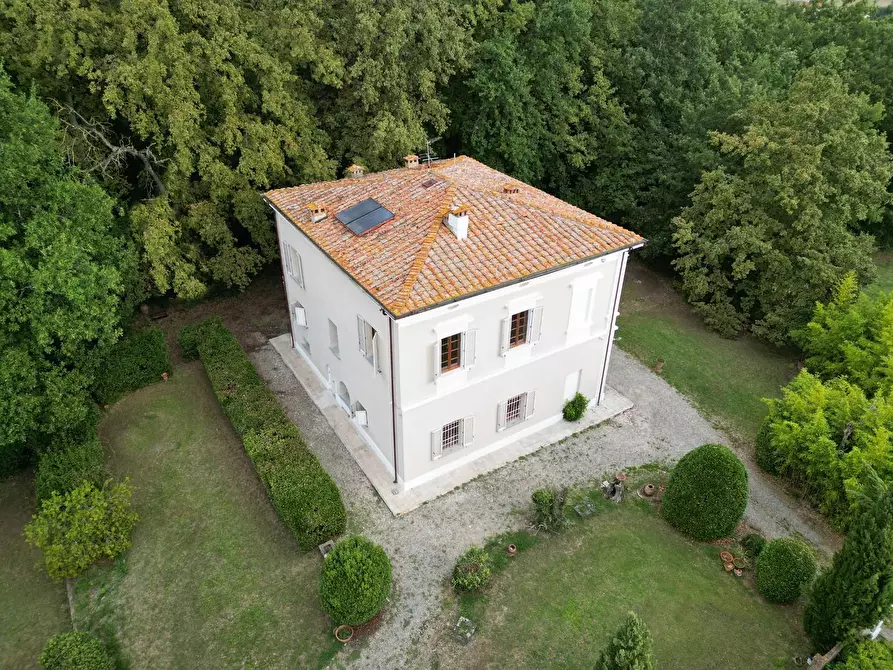 Immagine 40 di Villa in vendita  a Pisa