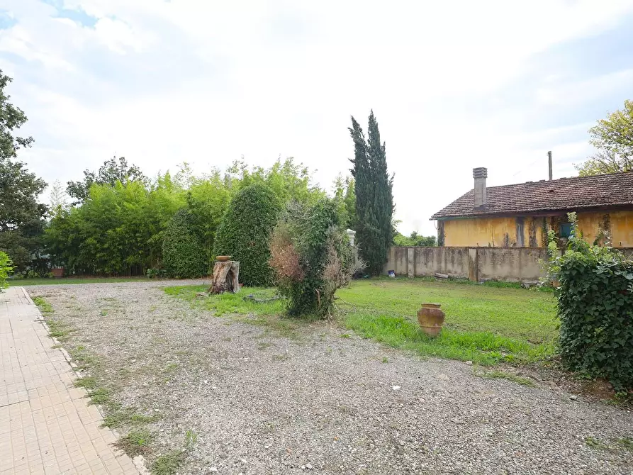 Immagine 7 di Villa in vendita  a Pisa