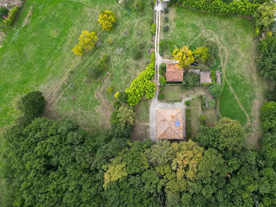 Immagine 41 di Villa in vendita  a Pisa