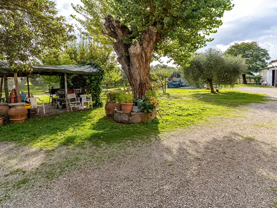 Immagine 27 di Appartamento in vendita  a Empoli