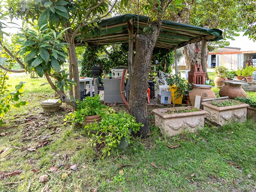 Immagine 26 di Appartamento in vendita  a Empoli