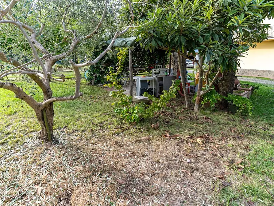 Immagine 25 di Appartamento in vendita  a Empoli