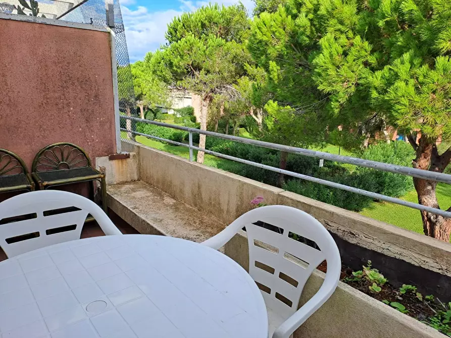 Immagine 2 di Appartamento in vendita  a Bibbona