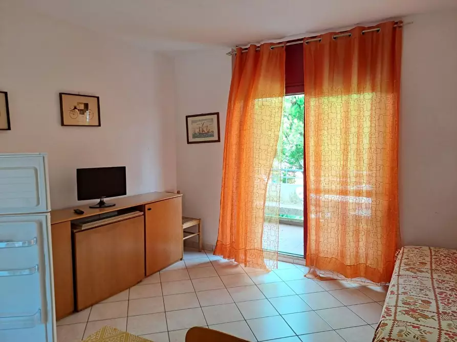 Immagine 4 di Appartamento in vendita  a Bibbona