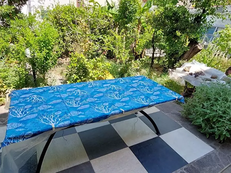 Immagine 5 di Villa in vendita  a Rosignano Marittimo